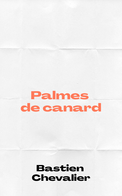 Palmes de canard